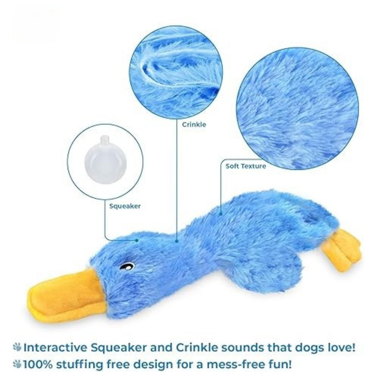 Squeaky Dog Chew Toy