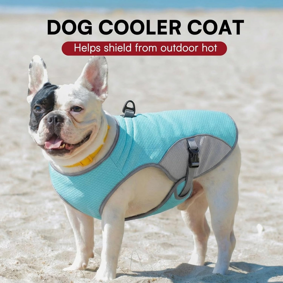 Cooling Dog Vest – Lightweight & Breathable