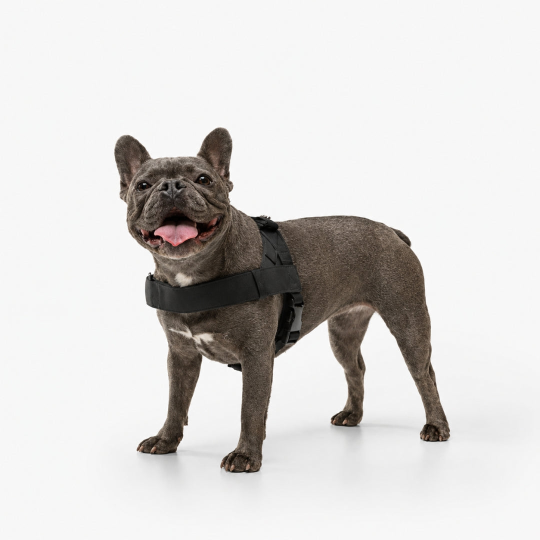 No-Pull Dog Harness