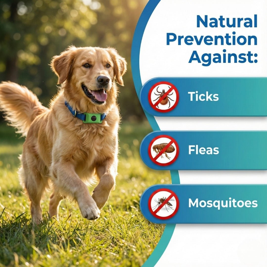 EcoTick™  Flea and Tick Free
