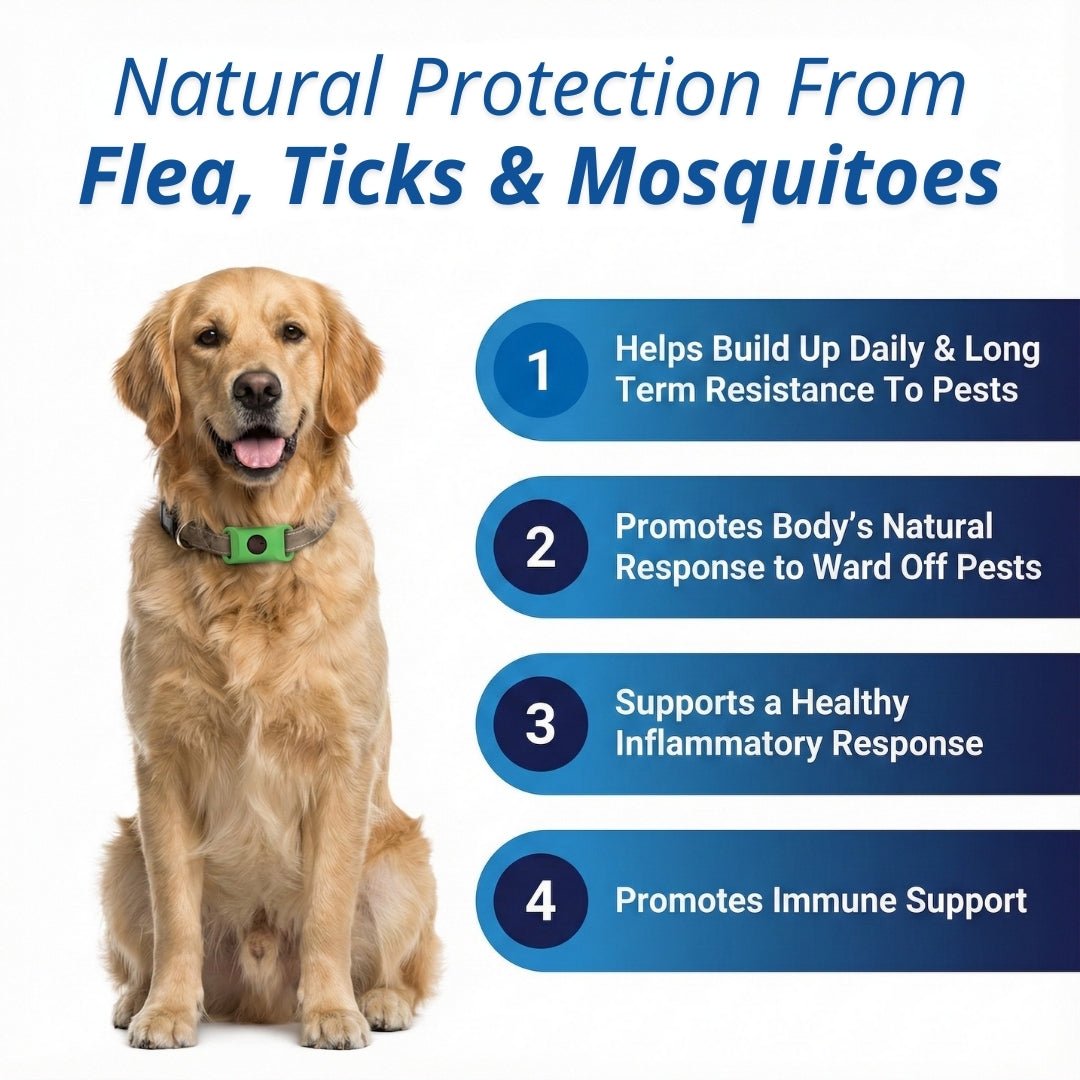 EcoTick™  Flea and Tick Free